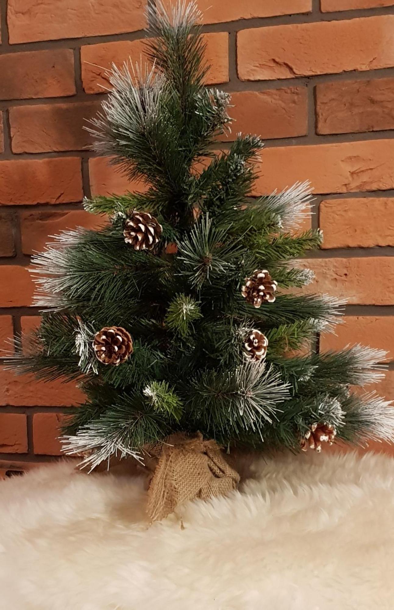 Apartamenty Bachledzki Wierch, Zakopane Eksteriør billede